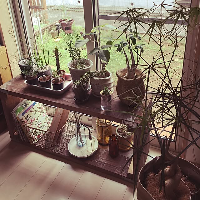 marley0209さんの実例写真