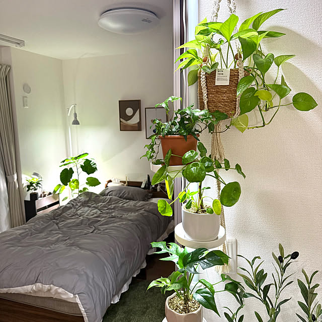 NKさんの実例写真