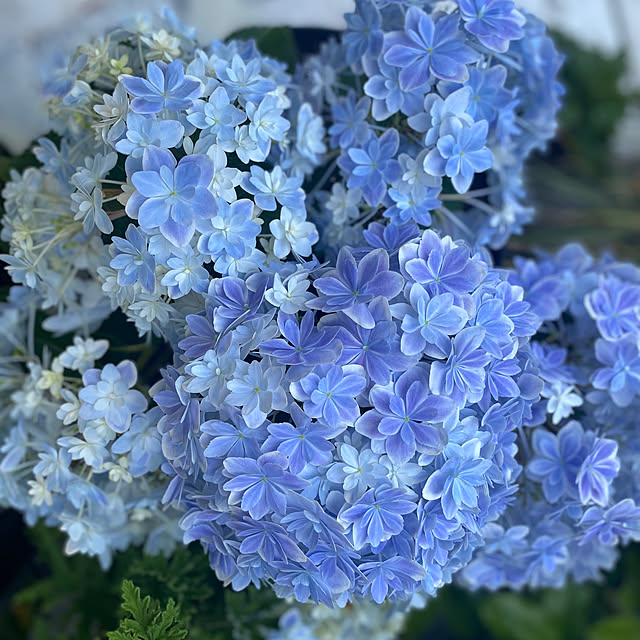 thirorunさんの部屋
