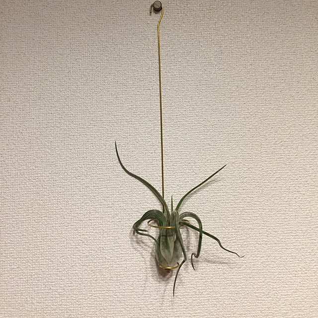 KeNさんの実例写真