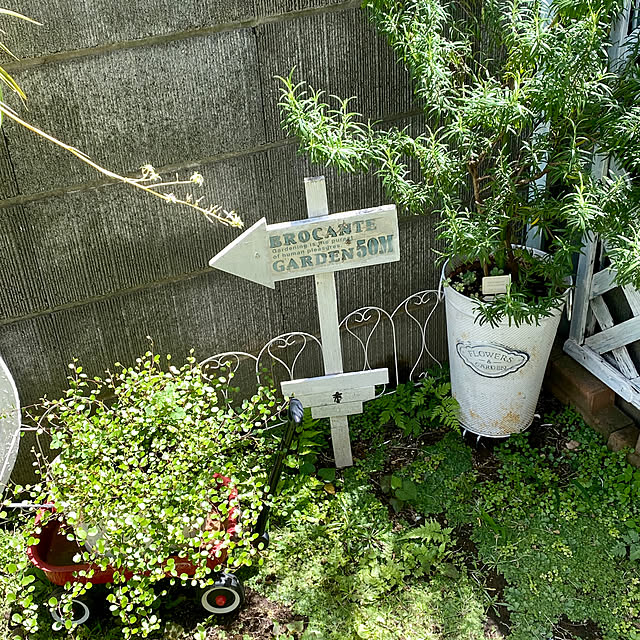 YuuKoさんの部屋