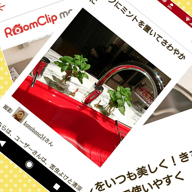bonobono54さんの実例写真