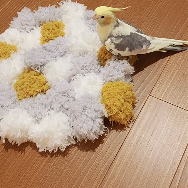 torinotorikoさんの実例写真