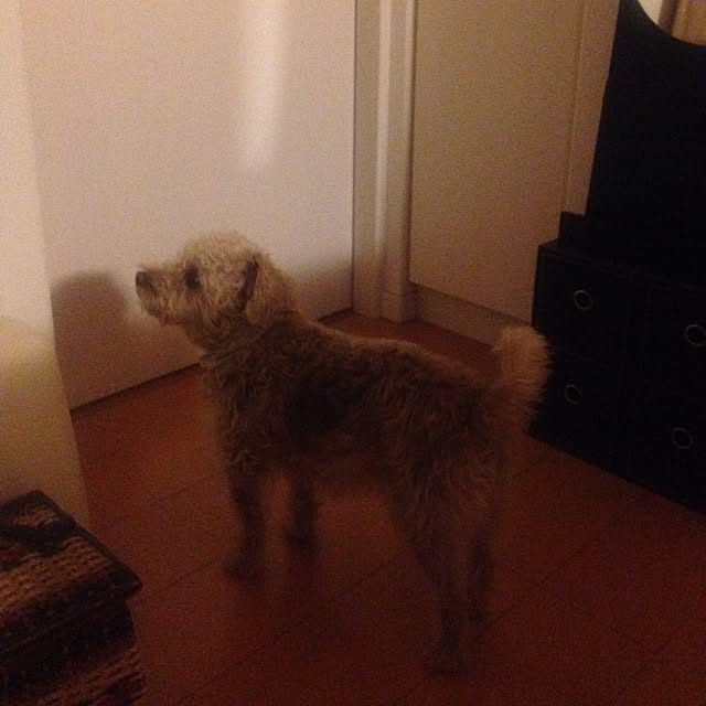 yさんの実例写真
