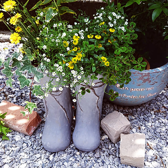 玄関/入り口/寄せ植え/暮らしを整える/お花のある暮らし/暮らしを紡ぐ...などのインテリア実例 - 2021-05-06 22:38:12