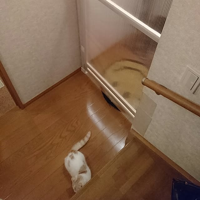Keikoさんの実例写真