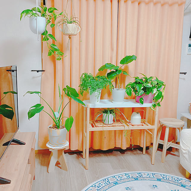 yuyuさんの部屋
