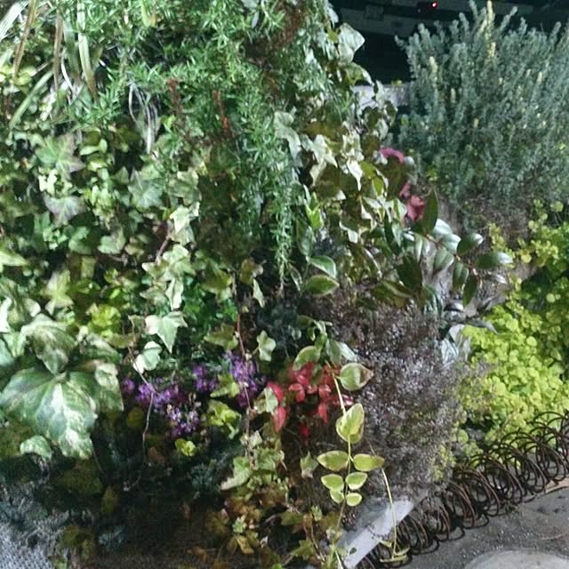 GreenWorksさんの実例写真