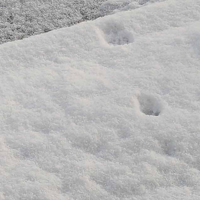 machikomamaさんの部屋