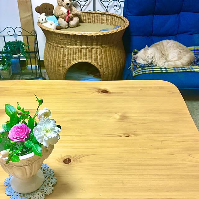 naokoさんの部屋