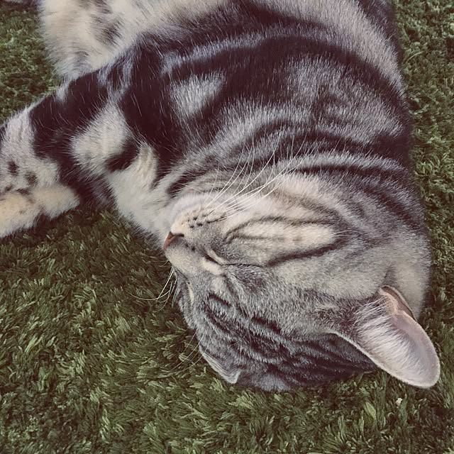 hiro_mashさんの実例写真