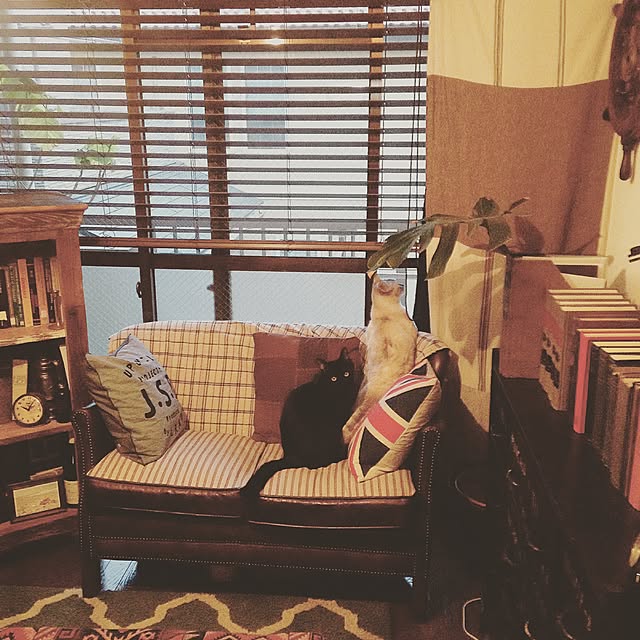 Naoki.さんの実例写真