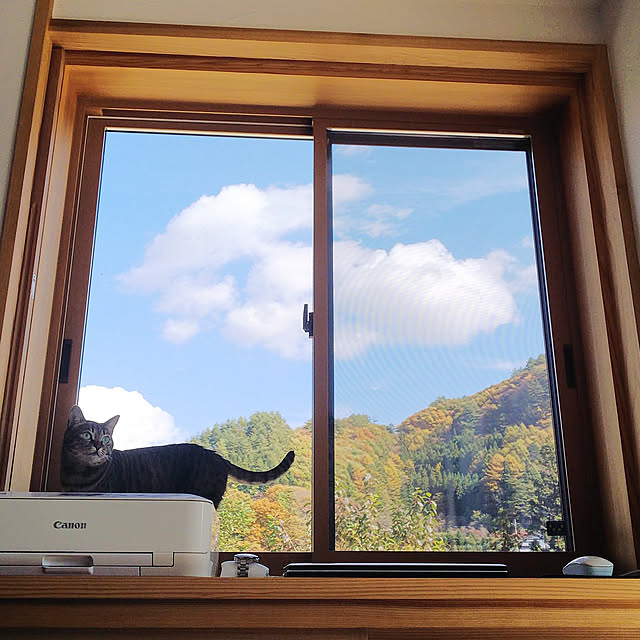 youkoasaさんの実例写真