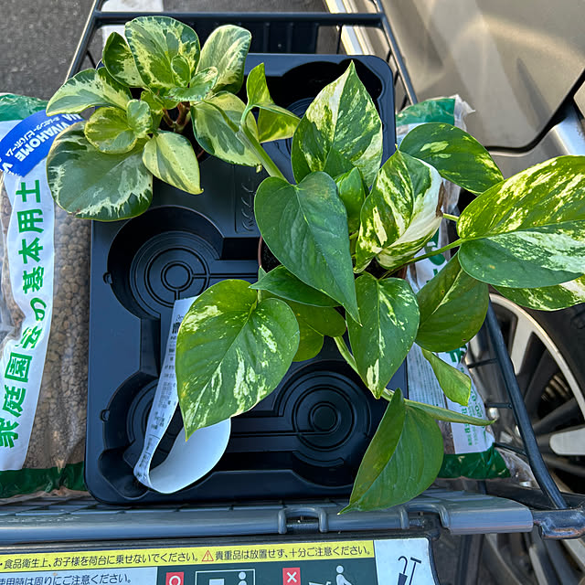 mei617830さんの部屋