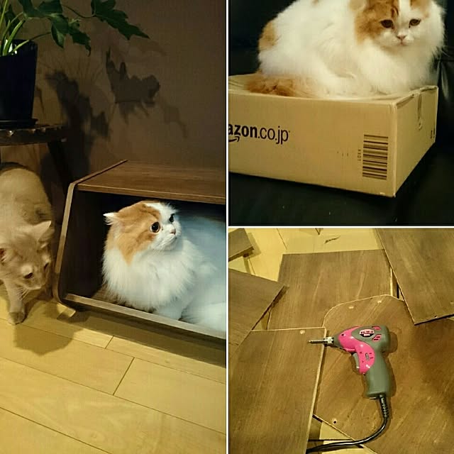 1ldksさんの実例写真