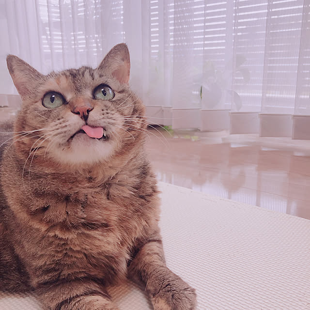 k-roomさんの実例写真