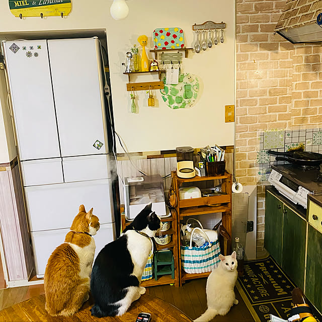 SHIHOさんの実例写真