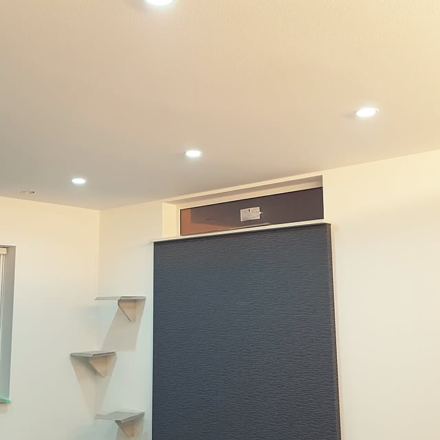 megu.catさんの実例写真