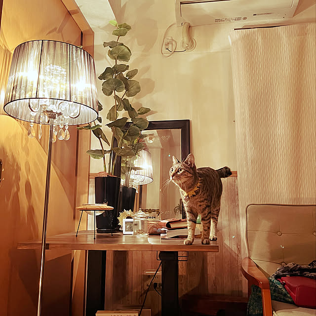 Mさんの実例写真