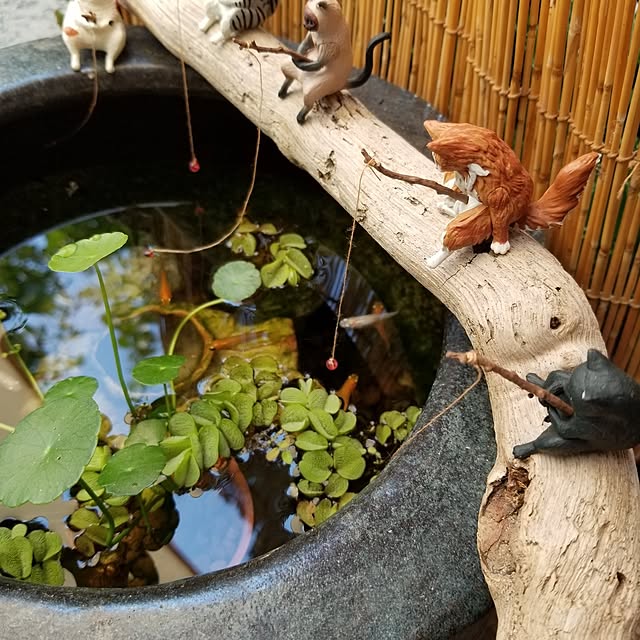 midoriさんの部屋