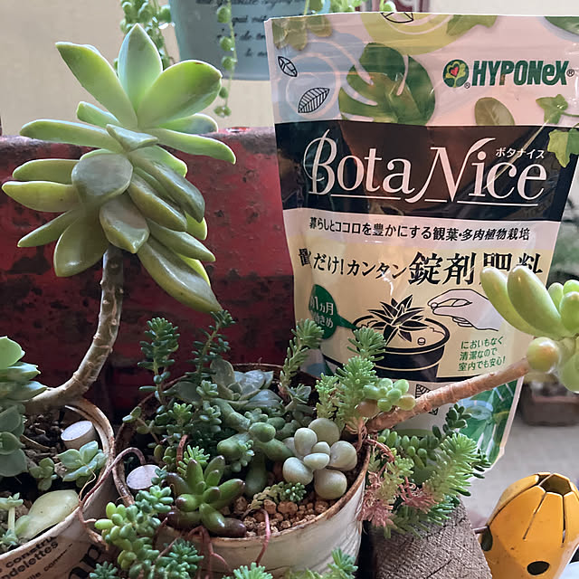 heidiさんの部屋
