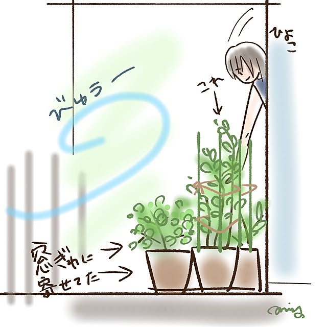 mi-saさんの部屋