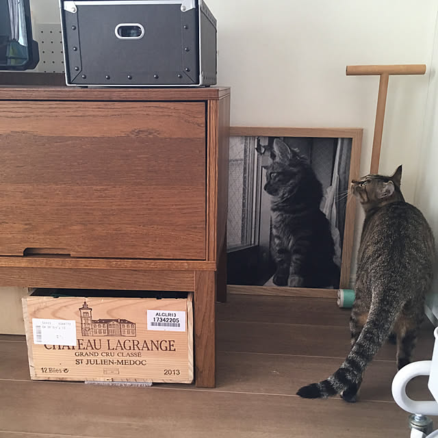 mikomaruさんの実例写真