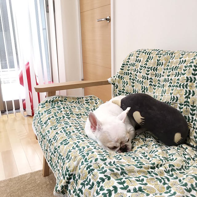 potbellyさんの実例写真