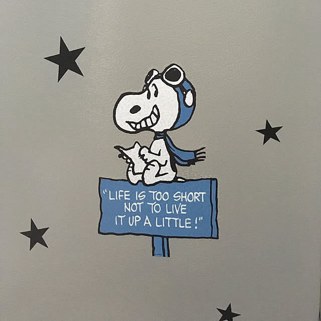 snoopyさんの実例写真