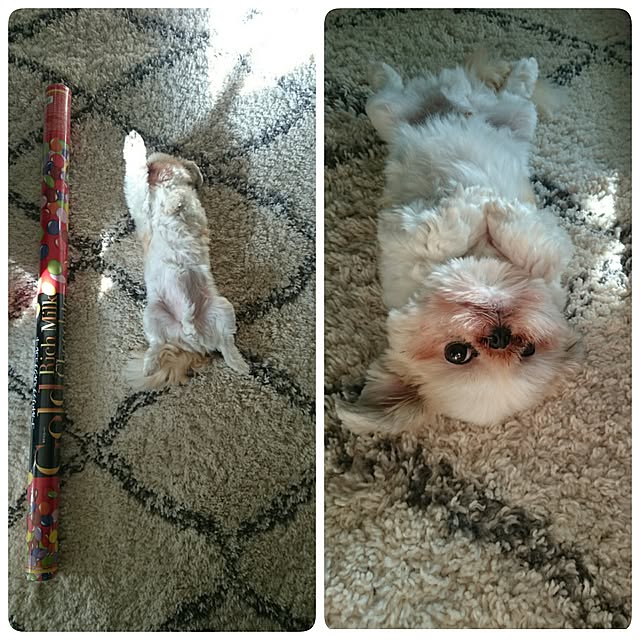 MIARAさんの実例写真