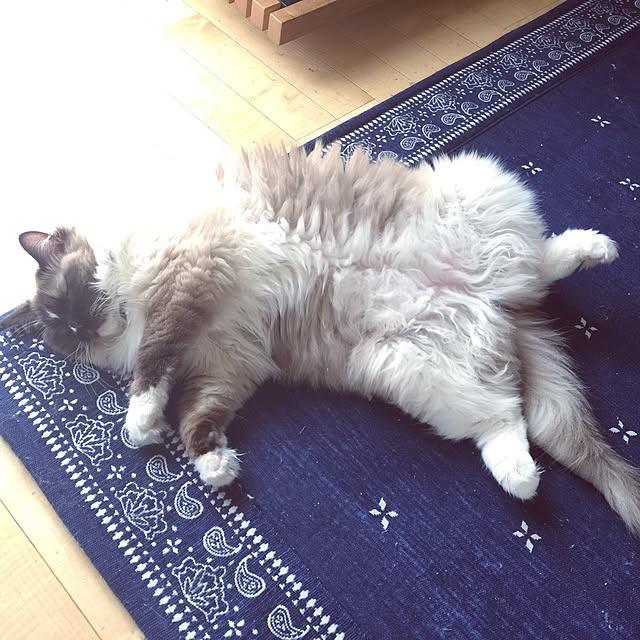 hmhmama0722さんの実例写真
