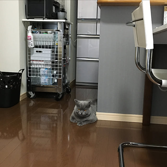 kittyさんの実例写真