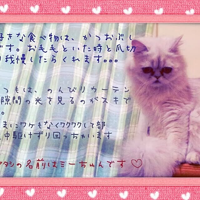 hiroko5410さんの実例写真