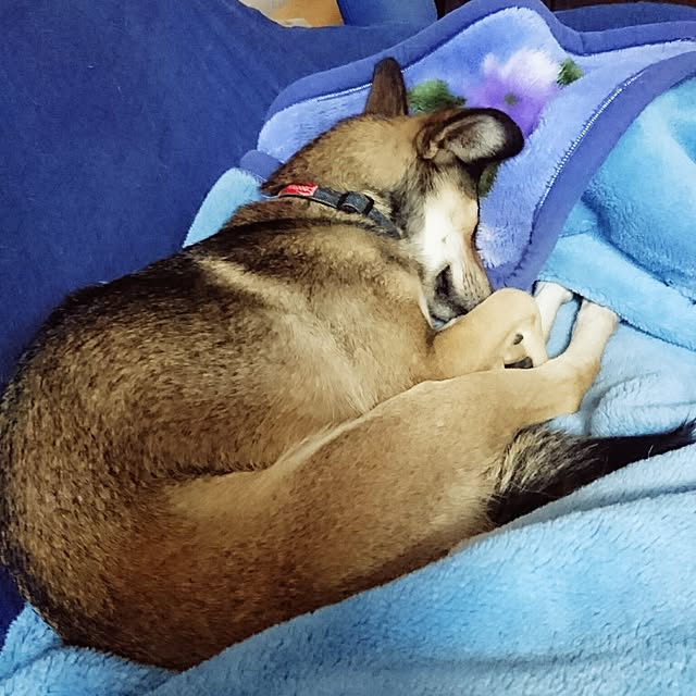andさんの実例写真