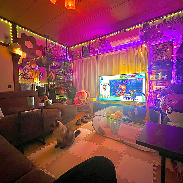 masa.さんの部屋
