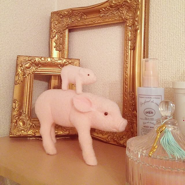 Mayumiさんの実例写真