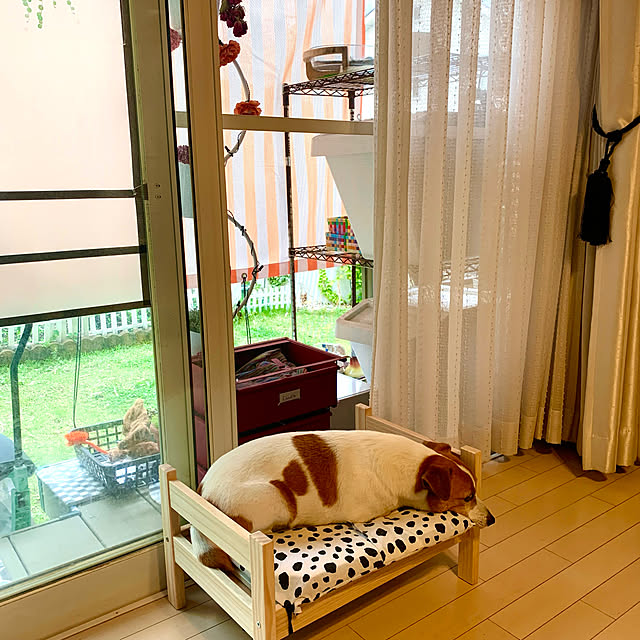 kittyさんの実例写真