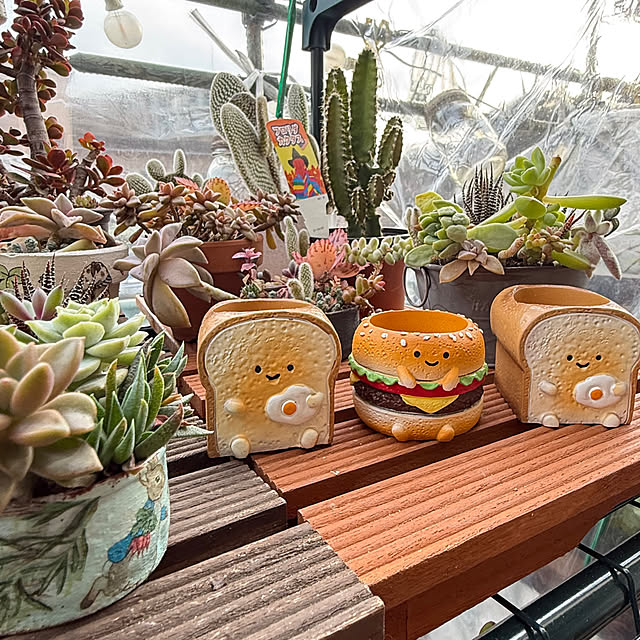 Aqettyさんの部屋