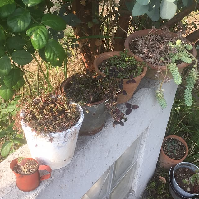 berryさんの実例写真