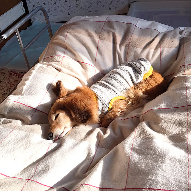asako_geekさんの実例写真