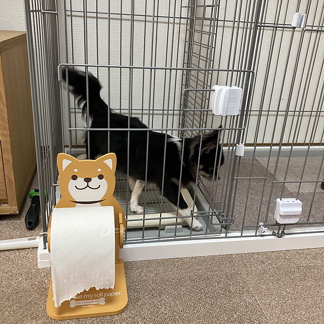 koroさんの実例写真