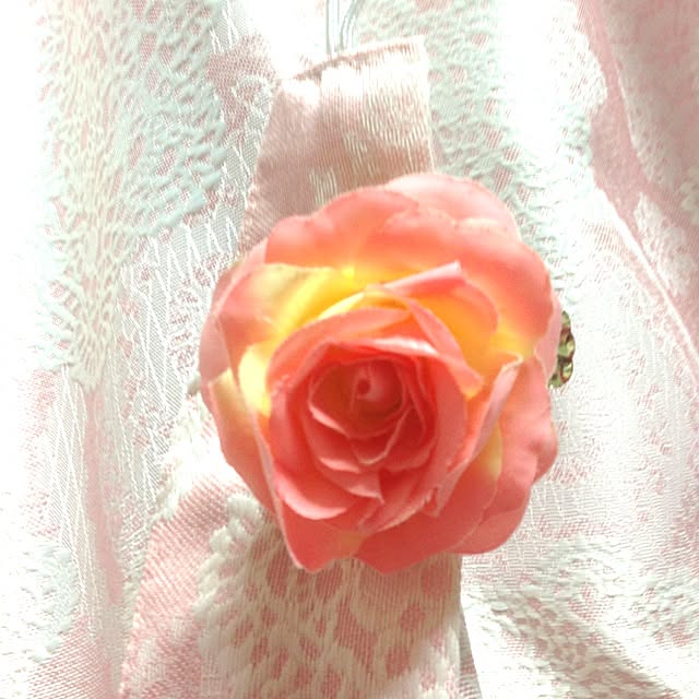 Mayoさんの実例写真