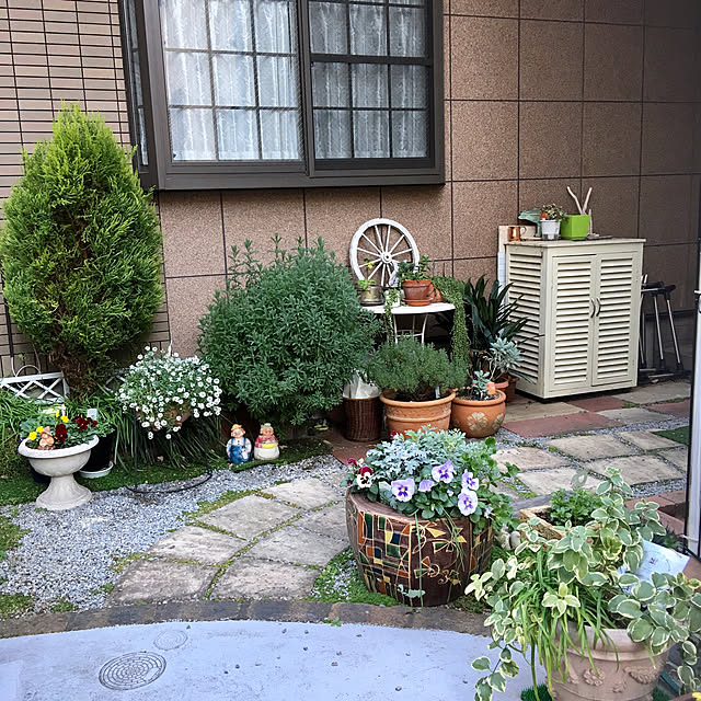 puriyuzuさんの実例写真