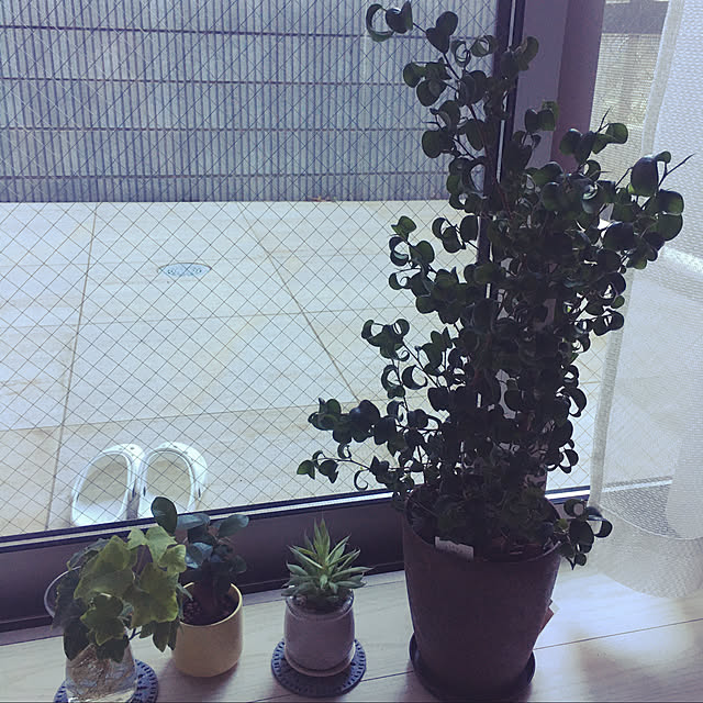 juliskaさんの実例写真