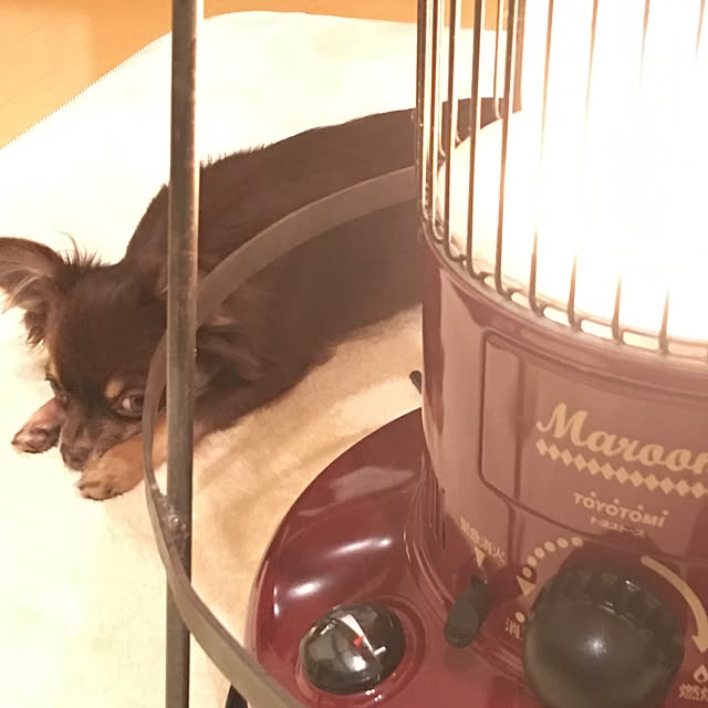 takaさんの実例写真