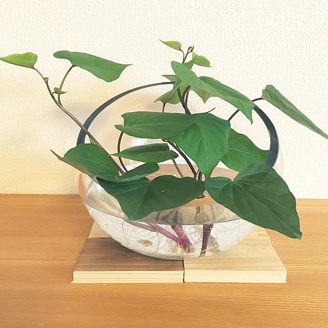 nikoさんの実例写真