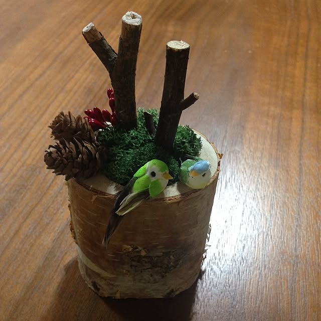 karumenouさんの実例写真