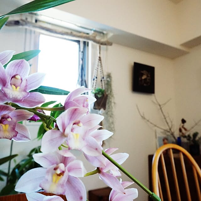 hanaさんの実例写真