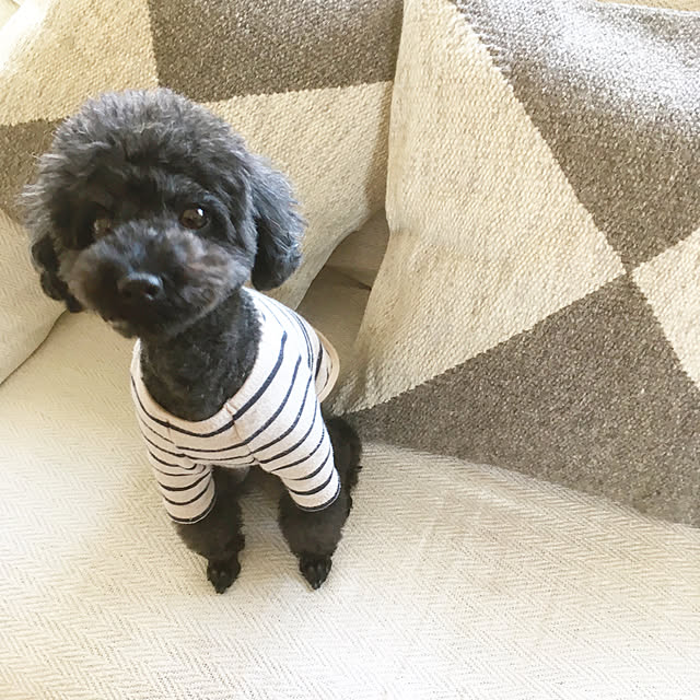 hira_muji_mihiさんの実例写真