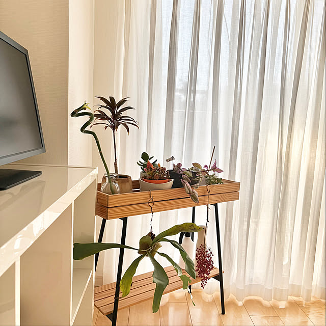 eepさんの実例写真